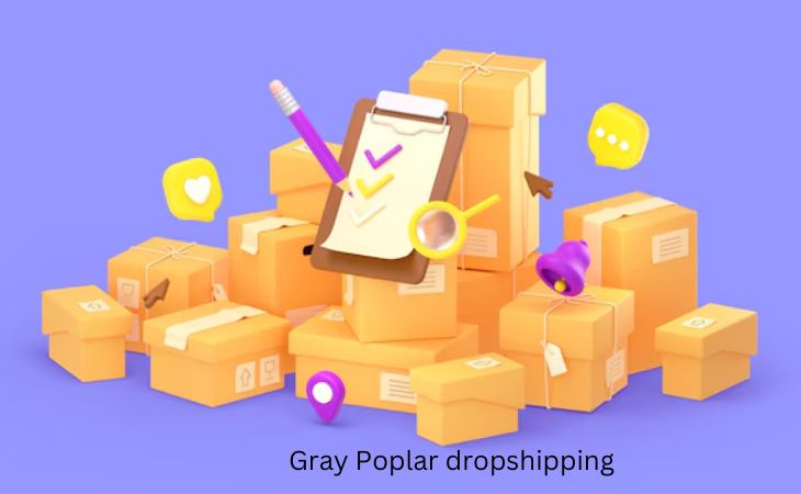 Dropshipping with GrayPoplar: A Comprehensive Guide to Success in 2025